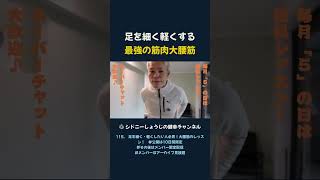 足を細く軽くする 最強の筋肉大腰筋