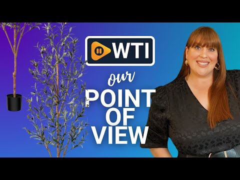 Kazeila Artificial Olive Tree 6FT Tall Faux Silk Plant for Home Office Decor Indoor Fake Potted Tree with Natural Wood Trunk and Lifelike Fruits 1 6ft - WTI product video review