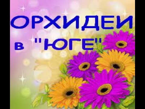 ЗАВОЗ ОРХИДЕЙ в "Юге":ЛЕКО Фантастик,21.20.21,Самара,ул.Авиационная,8.