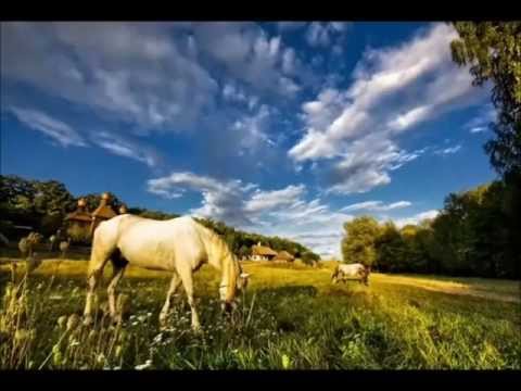 Diana Navarro   Como Las Al Viento