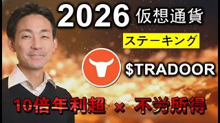 TRADOOR×Tradoor 初心者向け収益ガイド