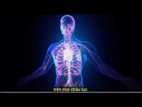 2016 12 31 AM Public Teaching in Vietnamese - Buổi giảng công cộng bằng tiếng Việt