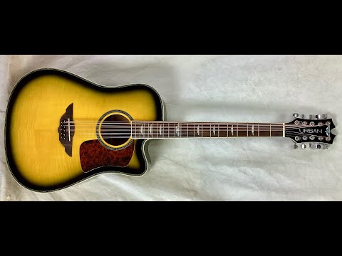 10 string mandocello, cittern prototype conversion of a dreadnaught guitar image 4