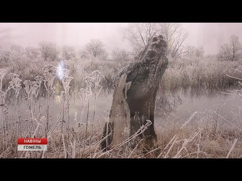 Во дворце Румянцевых и Паскевичей открылась фотовыставка Владимира Воробья видео