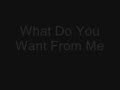 What Do You Want From Me - Forever The Sickest Kids Lyrics