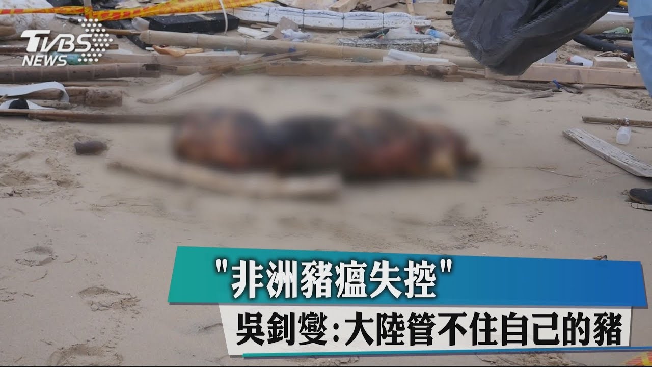 「非洲豬瘟失控」 吳釗燮:大陸管不住自己的豬