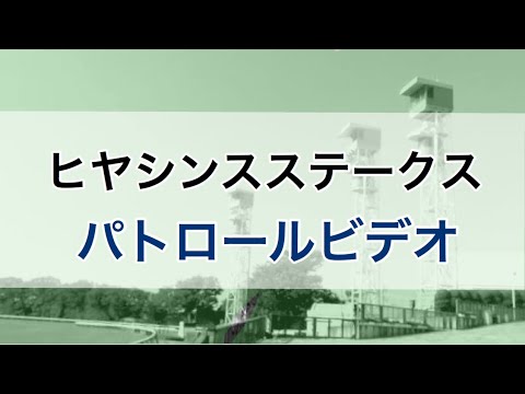 ヒヤシンスステークス　2020 パトロールビデオ　(カフェファラオ)
