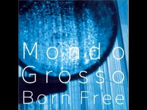Move into the Night - Mondo Grosso