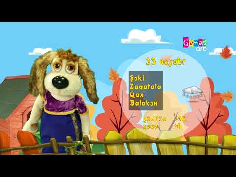 "Hava necə olacaq?" - 25 noyabr 2024-cü il