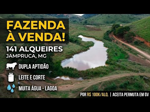 🌾 Fazenda 141 Alqueires Jampruca MG - Alta Produção, Muita Água e Permuta em Governador Valadares