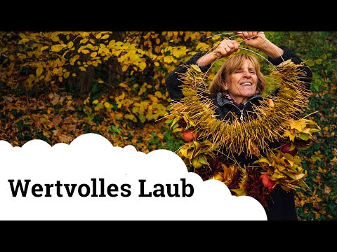Laub in Hülle und Fülle | 5 Tipps, wie man es sinnvoll nutzen kann! 🍁🍂