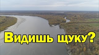 Где искать щуку осенью на спиннинг