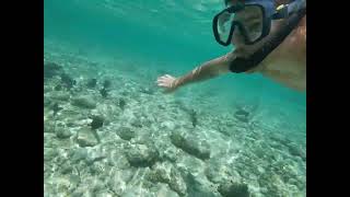 Snorkeling in Laamu Atoll Maldives