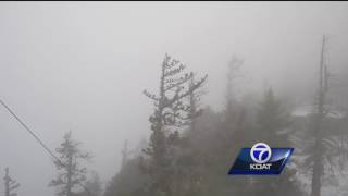 Snow coming down at Sandia Crest