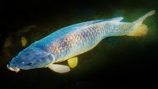 BIG FISH in CLEAR WATER! 🐟 BEST FISHING TRIP for AGES 🎣