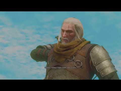 The Witcher 3 Wild Hunt - Blood And Wine Part 25 #ps5 #ps5games #games #gaming #witcher3 #witcher
