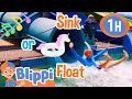 Sink Or Float Song Water Park Version 1 Hour Of BLIPPI Educational Songs For Kids