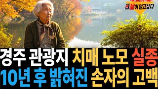 Download lagu 1997년 경주 관광지에서 사라진 치매노모.. 10년 뒤 밝혀진 손자의 고백 mp3