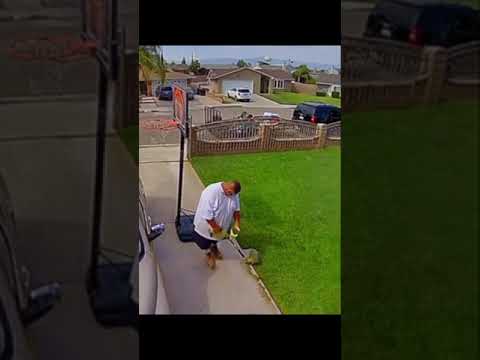 FOOS GONE WILD - HOMIE DEPOT