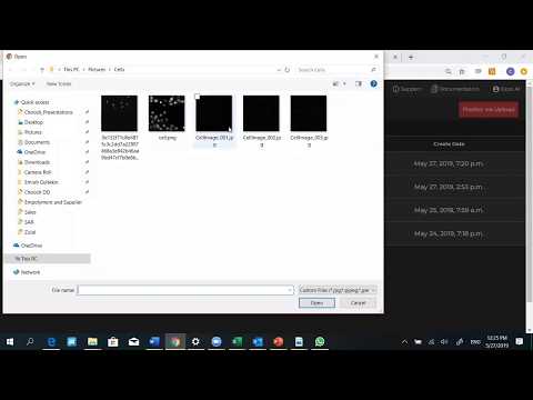 How to Use Computer Vision AI For Cell Nucleus Detection & Cell Counting | Chooch AI Vision Studio