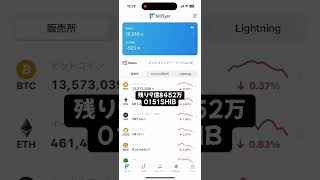 SHIBのくじら(大口投資家)になりたい#16