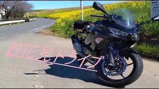騎虎のモトブログ4日目「NInja400でお花見ドライブ」