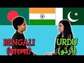 Similarities Between Bengali and Urdu