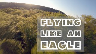 Flying like an eagle - FPV Freestyle