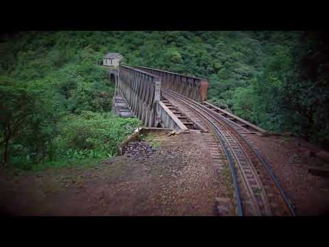 Passeio em trem de luxo entre Curitiba e Morretes é uma viagem no tempo