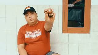 Download lagu 3 CARA AMPUH PERBAIKI NAFAS AYAM mp3 Download lagu 3 CARA AMPUH PERBAIKI NAFAS AYAM mp3