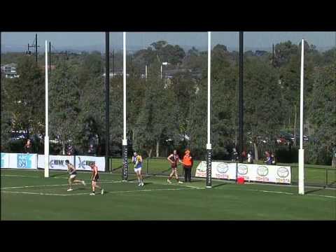 VFL Round 17 Goal of the Day