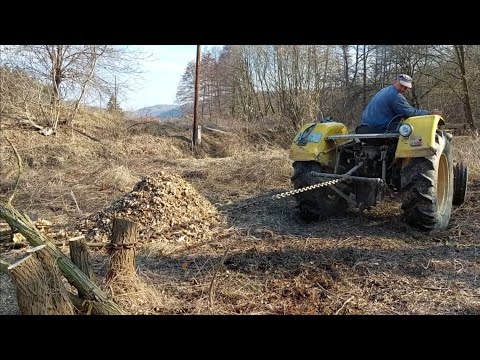 Čupamo panjeve u bašti