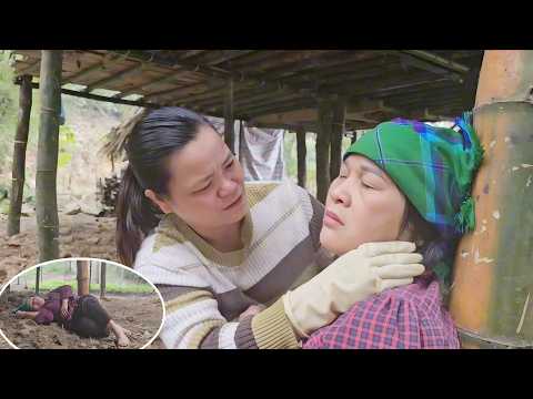 Dr. Bao's mother suddenly fainted while helping May with her work, which worried May.