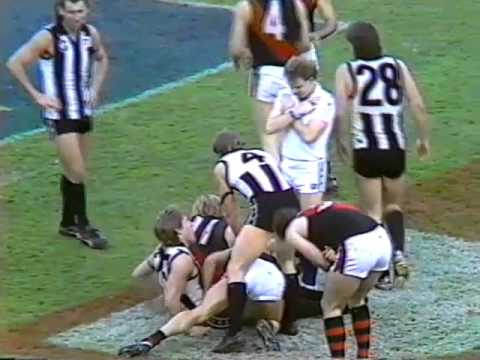 1988 Collingwood v Essendon - Rd 20 at VFL Park