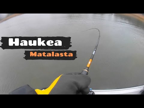 Hauen heittokalastusta [ Jigillä matalasta /Talvi -20 ]