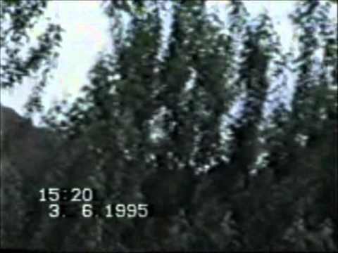 Dadaxon Hasan Bormisan