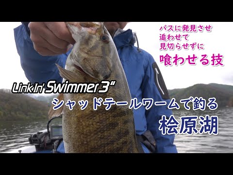 Tiemco LinkIn Shad 10cm 227NS