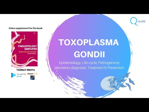 toxoplazma viselkedés mindig viszket e a férgek