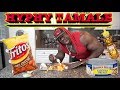 Cooking With Kali Muscle | High Calorie Cheap Meal | HYPHY TAMALE
