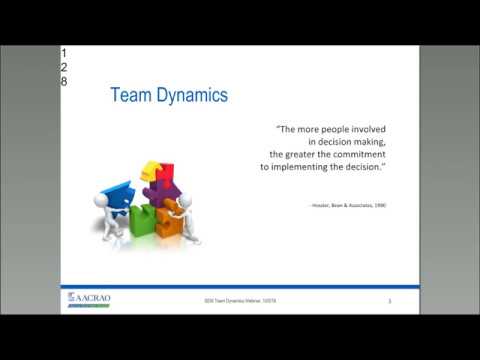 It Takes a Village  SEM Team Dynamics
