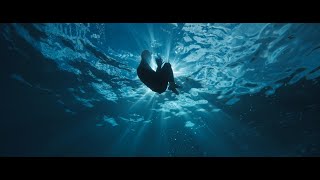AGAINST GRAVITY TRAILER - LEON GLATZER