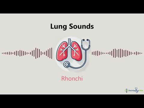 Lung Sounds: Rhonchi