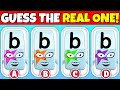 CAN YOU FIND THE REAL B ALPHABLOCKS CHARACTERS Guess The Real One I A C D