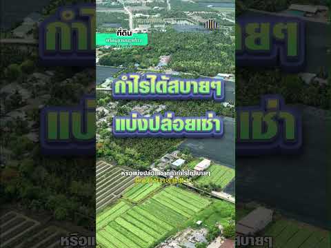 ขายด่วน! ที่ดินพร้อมสวนมะพร้าวบ้านแพ้วกว่า 8 ไร่! ราคาดี ในหนองนกไข่ กระทุ่มแบน สมุทรสาคร, Samut Sakhon, Nong Nok Khai, Krathum Baen, Samut Sakhon, , 13,698 sqm, Land For Sale, by คุณจา, 60123084 - DDproperty.com