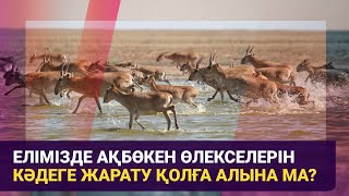 Елімізде ақбөкен өлекселерін кәдеге жарату қолға алына ма?