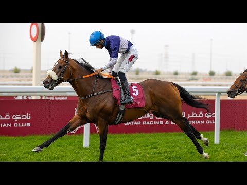 RM15 Al Uqda  RACE-4 -  Al Arish Cup