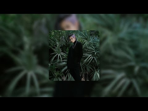 BikaBreezy – BANGA (mmm) (lyric video)