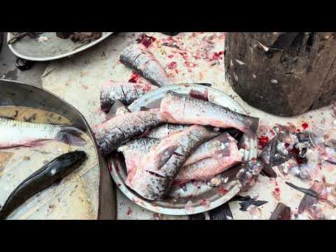 Manipur lam ah sangha Ken tur kan lei