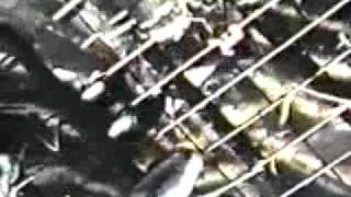 PIG - The Fountain of Miracles