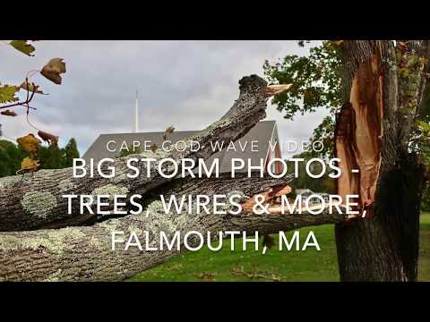 Big storm photos -  trees & wires, Falmouth, MA October 17, 2019
